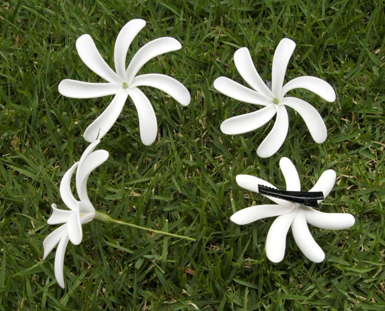 Foam Tiare flower
