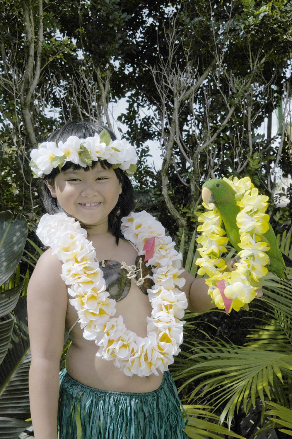 #40 Yellow-White(plumeria), Haku Lei