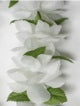 #35 White, Simple Lei