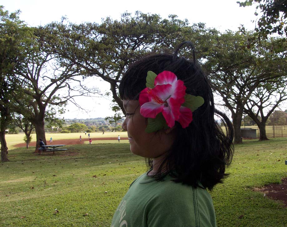 Single Hibiscus Hair Clip - #3 Blue