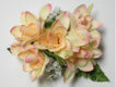 Tuberose hair clip - Peach #17A
