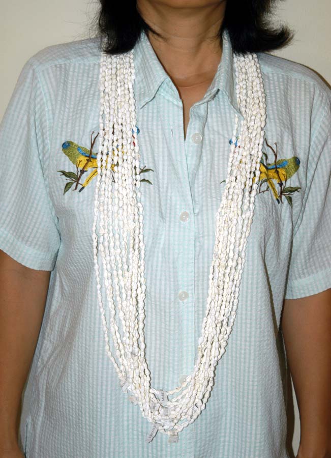 White Dove tail shells lei