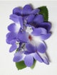 Plumeria hair clip #20 Purple