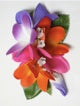 Plumeria hair clip #18 Purple /orange