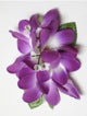 Plumeria hair clip #24 Lavender