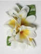 Plumeria hair clip <br>#40 White/yellow