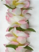 #41 Pink-White-Yellow, Haku Lei