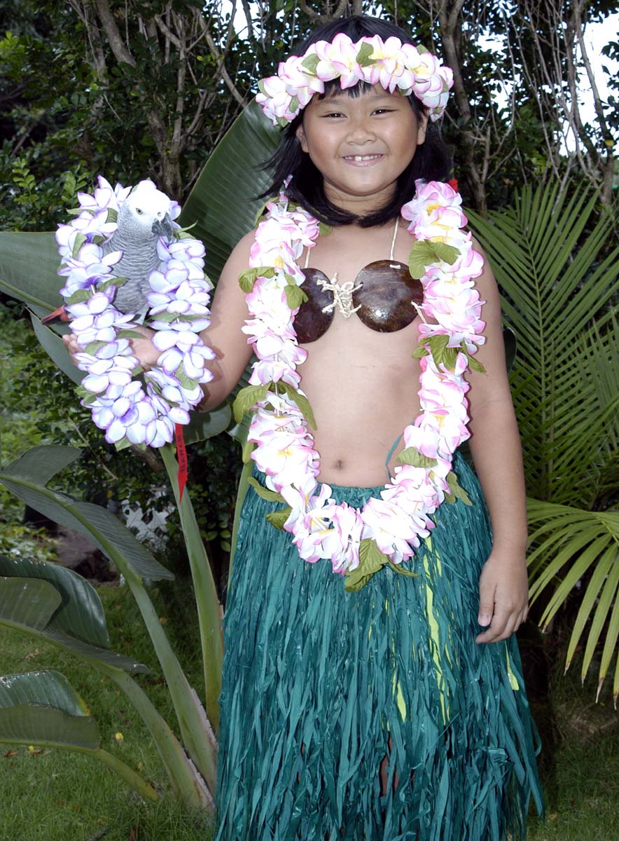 Adult Hula skirt set