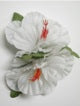 Double Hibiscus hair clip #35 white