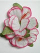 Double Hibiscus hair clip - #7 white/ pink