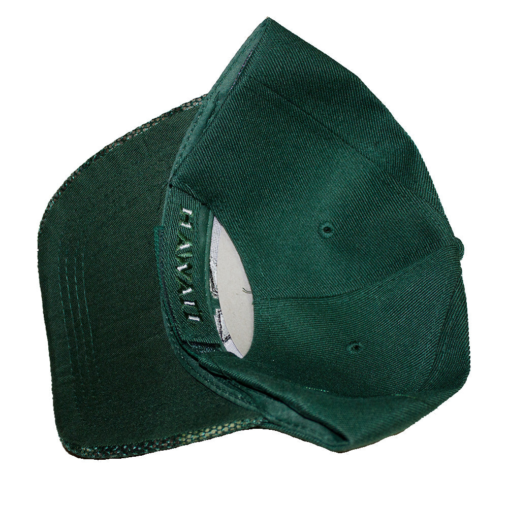 UH Warriors hats, Camo green caps